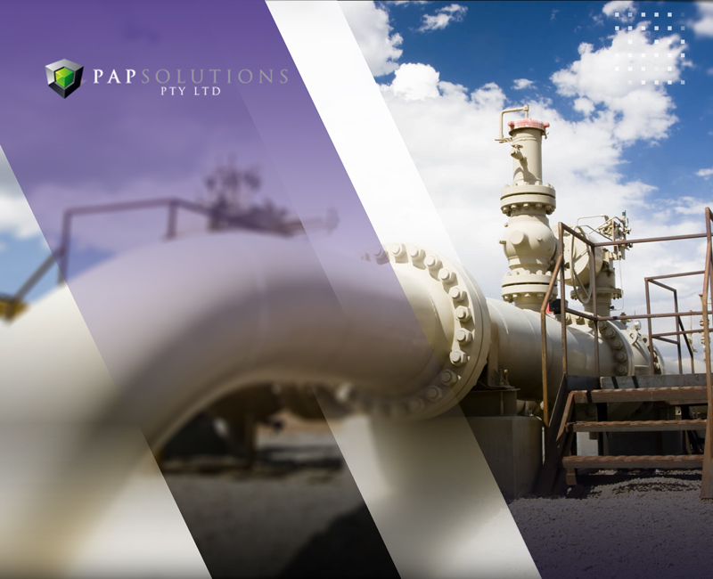 Pap Solutions Ltd case studies